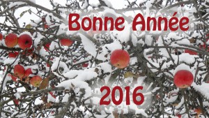 BonneAnnee2016